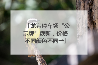 龙岩停车场“公示牌”焕新，价格不同颜色不同→