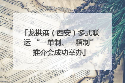 龙拱港（西安）多式联运 “一单制、一箱制” 推介会成功举办