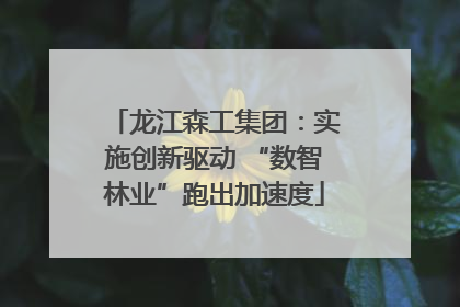 龙江森工集团：实施创新驱动 “数智林业”跑出加速度