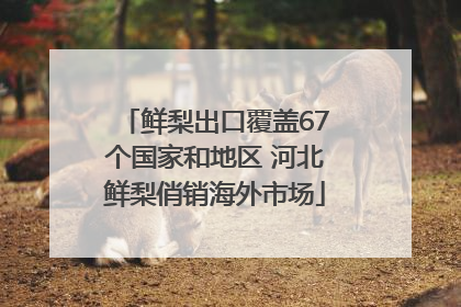 鲜梨出口覆盖67个国家和地区 河北鲜梨俏销海外市场