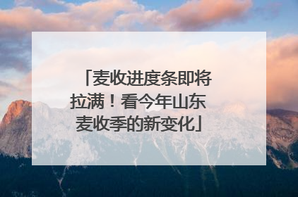 麦收进度条即将拉满！看今年山东麦收季的新变化