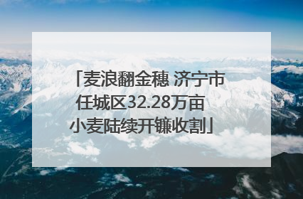 麦浪翻金穗 济宁市任城区32.28万亩小麦陆续开镰收割