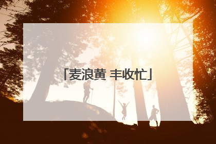 麦浪黄 丰收忙