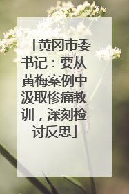 黄冈市委书记：要从黄梅案例中汲取惨痛教训，深刻检讨反思
