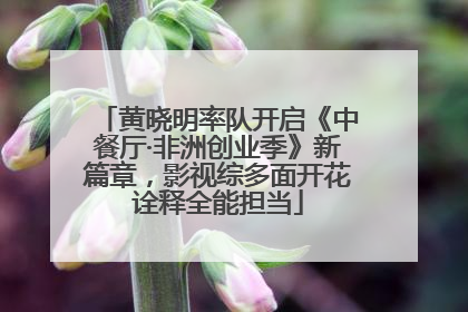 黄晓明率队开启《中餐厅·非洲创业季》新篇章，影视综多面开花诠释全能担当