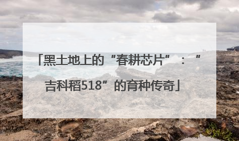 黑土地上的“春耕芯片”：“吉科稻518”的育种传奇