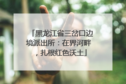 黑龙江省三岔口边境派出所：在界河畔，扎根红色沃土