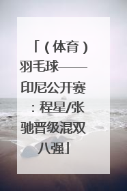 （体育）羽毛球——印尼公开赛：程星/张驰晋级混双八强
