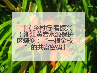 （乡村行·看振兴）浙江黄岩水源保护区蝶变：“一根金枝”的共富密码