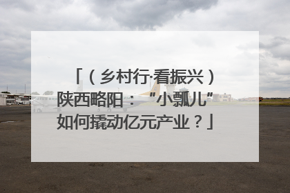 （乡村行·看振兴）陕西略阳：“小瓢儿”如何撬动亿元产业？