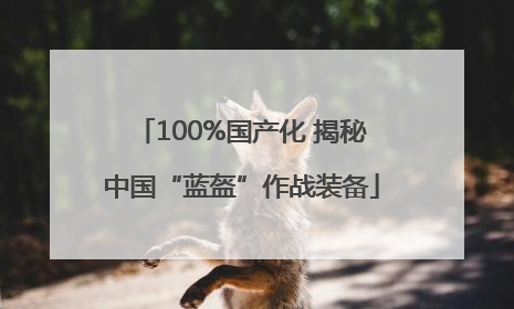 100%国产化 揭秘中国“蓝盔”作战装备