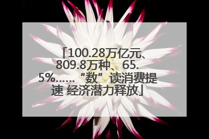 100.28万亿元、809.8万种、65.5%……“数”读消费提速 经济潜力释放