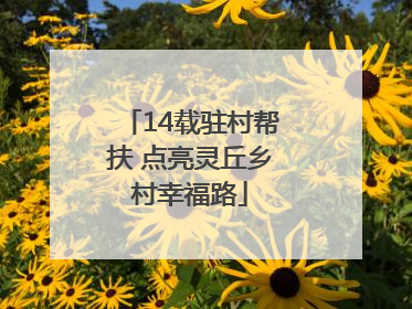 14载驻村帮扶 点亮灵丘乡村幸福路