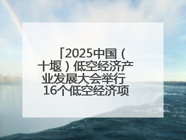 2025中国（十堰）低空经济产业发展大会举行 16个低空经济项目落户车城