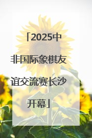 2025中非国际象棋友谊交流赛长沙开幕