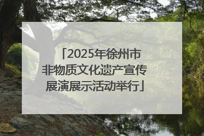 2025年徐州市非物质文化遗产宣传展演展示活动举行