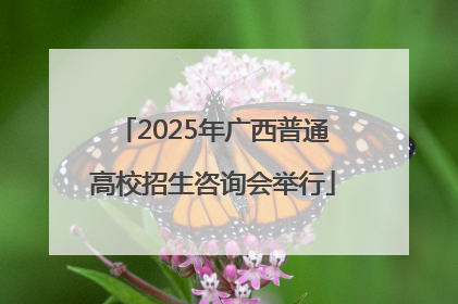 2025年广西普通高校招生咨询会举行