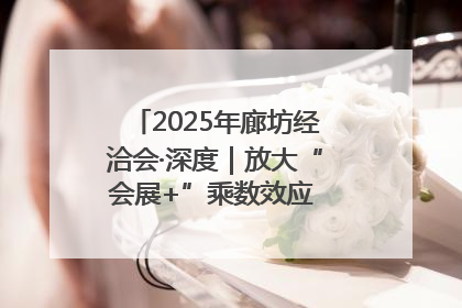 2025年廊坊经洽会·深度｜放大“会展+”乘数效应 打造消费新场景