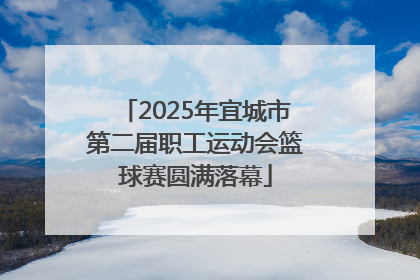 2025年宜城市第二届职工运动会篮球赛圆满落幕