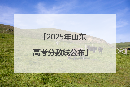 2025年山东高考分数线公布