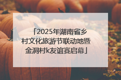2025年湖南省乡村文化旅游节联动地暨金洞村k友谊赛启幕