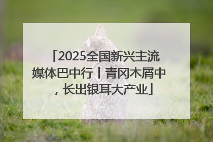2025全国新兴主流媒体巴中行丨青冈木屑中，长出银耳大产业