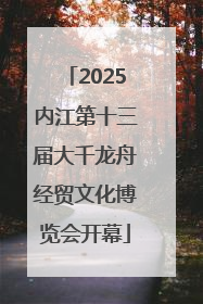 2025内江第十三届大千龙舟经贸文化博览会开幕