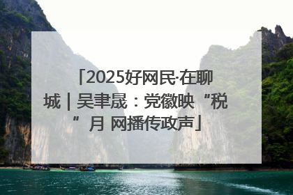 2025好网民·在聊城｜吴聿晟：党徽映“税”月 网播传政声