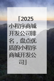 2025小程序商城开发公司排名，盘点优质的小程序商城开发公司