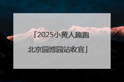 2025小黄人趣跑北京园博园站收官