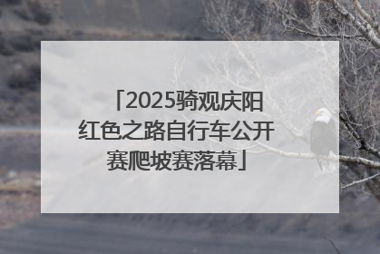 2025骑观庆阳红色之路自行车公开赛爬坡赛落幕