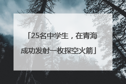 25名中学生，在青海成功发射一枚探空火箭