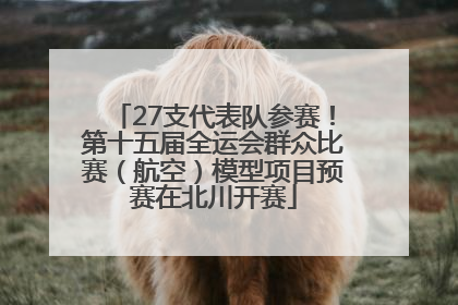27支代表队参赛！第十五届全运会群众比赛（航空）模型项目预赛在北川开赛