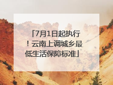 7月1日起执行！云南上调城乡最低生活保障标准