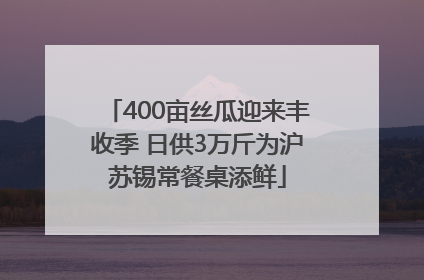 400亩丝瓜迎来丰收季 日供3万斤为沪苏锡常餐桌添鲜