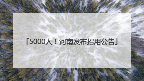 5000人！河南发布招用公告