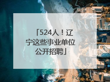 524人！辽宁这些事业单位公开招聘