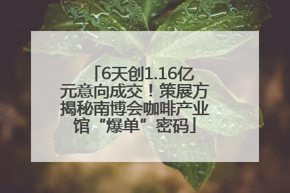 6天创1.16亿元意向成交！策展方揭秘南博会咖啡产业馆“爆单”密码