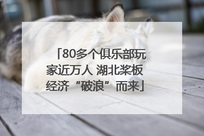 80多个俱乐部玩家近万人 湖北桨板经济“破浪”而来