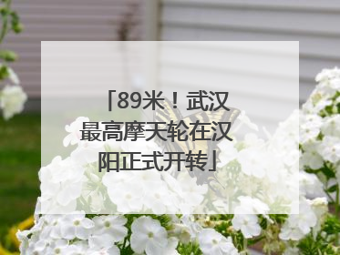 89米！武汉最高摩天轮在汉阳正式开转
