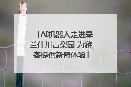 AI机器人走进皋兰什川古梨园 为游客提供新奇体验